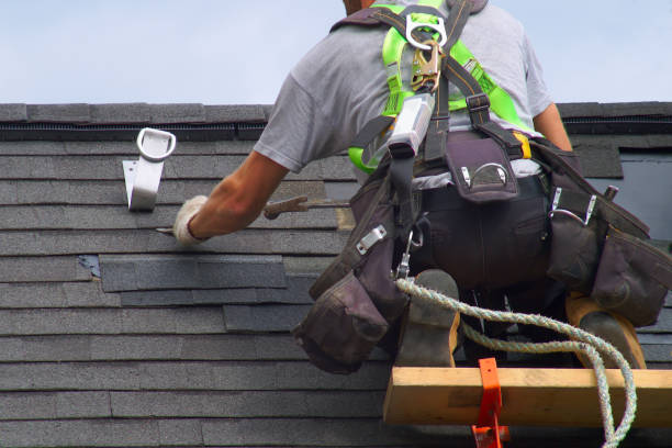 Best Flat Roof Repair Services  in Forrest, IL