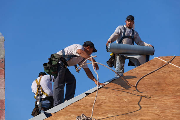 Tile Roofing Contractor in Forrest, IL