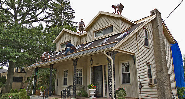 Trusted Forrest, IL Roofing Contractor Experts