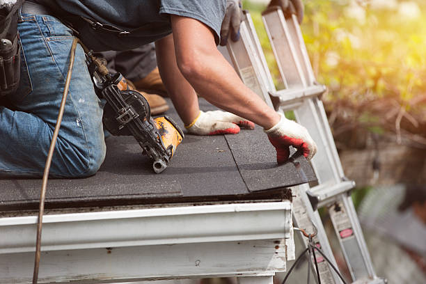 Best Roofing Contractor Near Me  in Forrest, IL