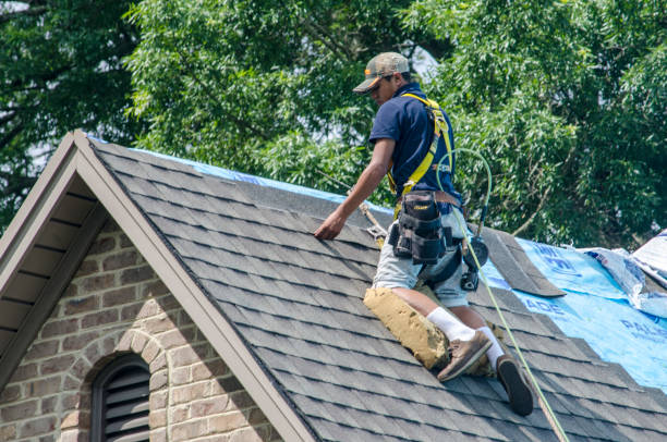 Best Commercial Roofing Services  in Forrest, IL